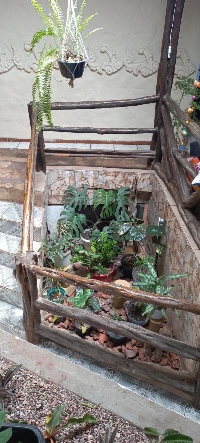 Hostel Casa Latina Lencois Dış mekan fotoğraf
